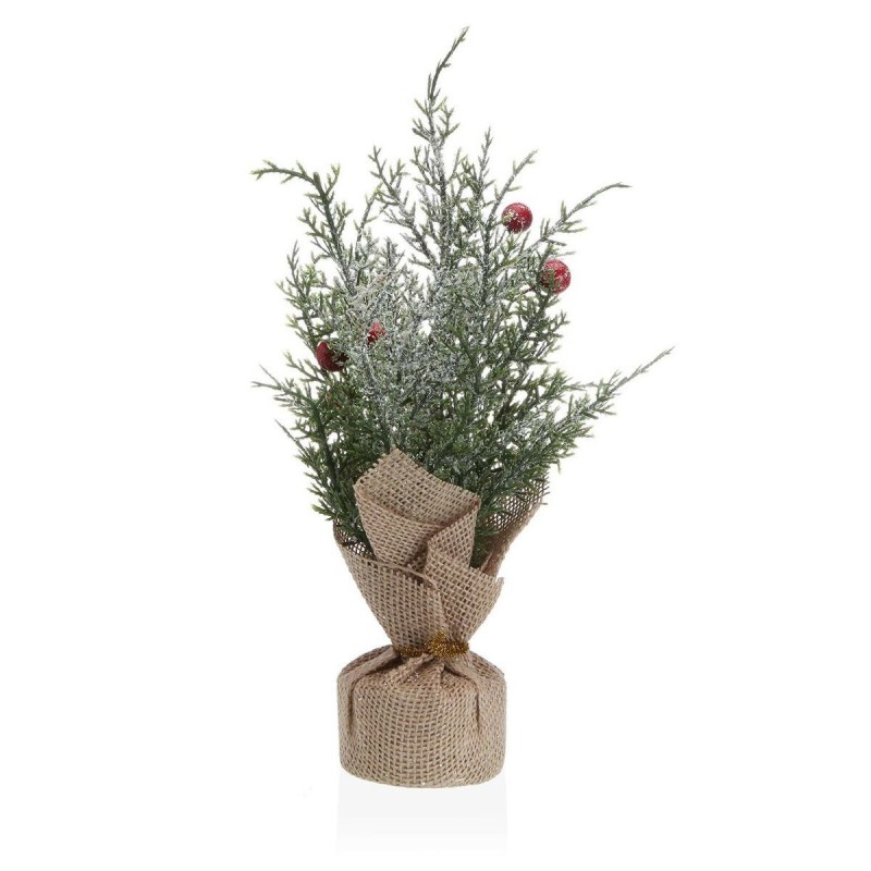 Pianta Decorativa Versa Plastica