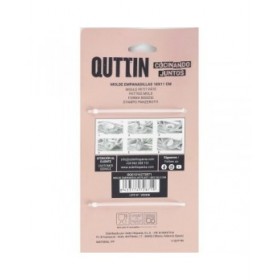 Stampo Removibile Quttin Empanadilla Plastica 19 x 11 x 3,2 cm (24 Unità)