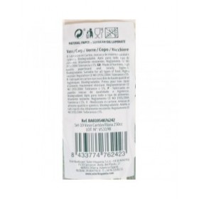 Set di Bicchieri Algon Monouso Cartone Floreale 10 Pezzi 250 ml (24 Unità)