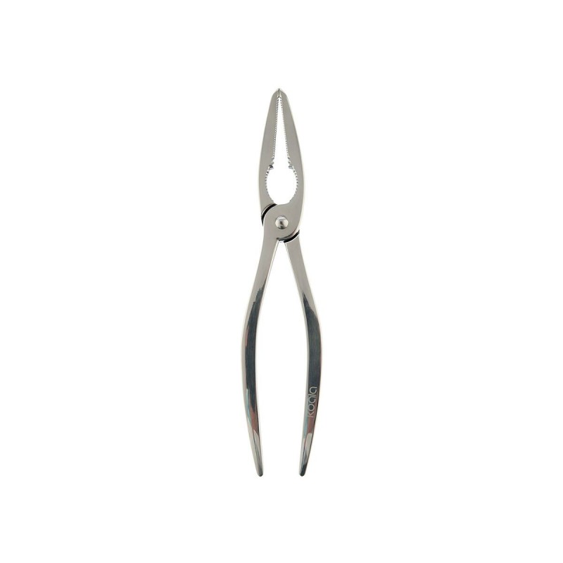 Pinze per Crostacei Koala Eco Friendly Acciaio Metallo 20 x 4 x 1 cm