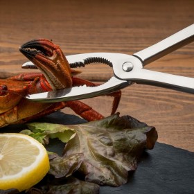 Pinze per Crostacei Koala Eco Friendly Acciaio Metallo 20 x 4 x 1 cm
