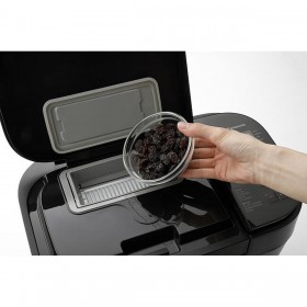 Macchina del Pane Panasonic SD-R2530KXE 550 W Nero