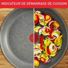 Padella Tefal D4560432 Grigio