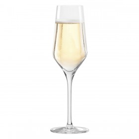 Calice da champagne Inde Passion 250 ml 6 Pezzi