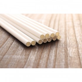 Cannuccia Riutilizzabile Algon 19,7 x 0,6 cm 25 Pezzi 24 Unità
