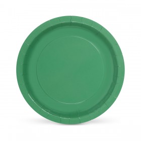 Set di piatti Algon Verde 20 cm 10 Pezzi (24 Unità)