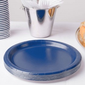 Set di piatti Algon Azzurro 20 cm 10 Pezzi (24 Unità)