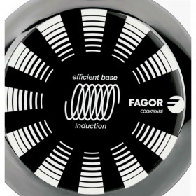 Padella FAGOR Indutherm Nero Acciaio Smaltato (Ø 20 cm)