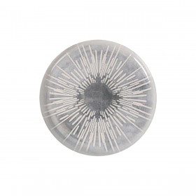 Teglia da Cucina La Mediterránea Ivar Rotonda ø 32,1 cm (6 Unità)