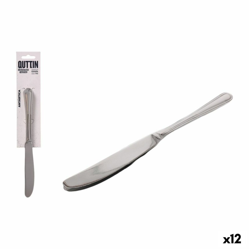 Set di Coltelli Quttin Antártica Argentato Acciaio inossidabile 21,6 x 1,8 cm 2 Pezzi (12 Unità)