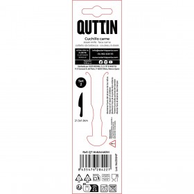 Set di Coltelli per Carne Quttin Antártica Argentato Acciaio inossidabile 21,5 x 1,9 cm 2 Pezzi (12 Unità)