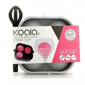 Formina per Cubetti di Ghiaccio Koala Bodega Plastica Set XXL 2 Pezzi