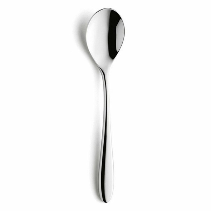 Cucchiaio da Dolce Amefa Cuba Metallo 19,8 cm 12 Unità