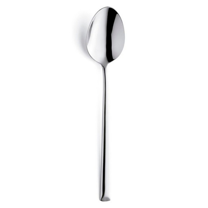 Set di Cucchiai Amefa Metropole Metallo (12 Unità)