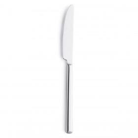 Set di Coltelli Amefa Metropole Metallo 21 cm 12 Unità