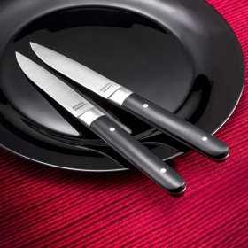 Set di Coltelli per Carne Amefa Fusion Bicolore Metallo 12 Unità 22 x 1,8 x 1,2 cm