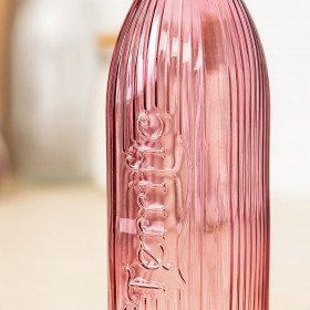 Borraccia Quid Viba Rosa Vetro 1 L (12 Unità)