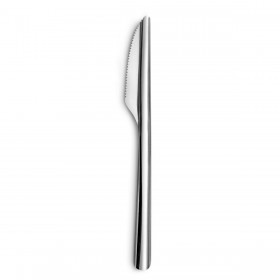 Set di Coltelli Amefa Ecologic Slim Metallo Acciaio (12 Unità)