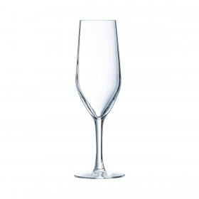 Calice da champagne Chef&Sommelier Evidence Trasparente Vetro 160 ml Champagne (6 Unità)