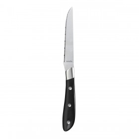 Set di Coltelli per Carne Amefa Achille Metallo 23 x 2,4 x 1,5 cm 6 Unità
