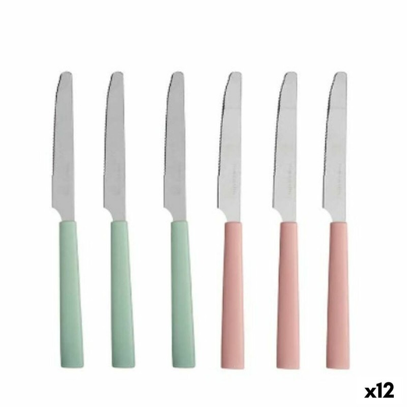 Set di Coltelli Kinvara CN-KT166096-1K Verde Rosa Argentato Acciaio inossidabile Plastica (12 Unità)