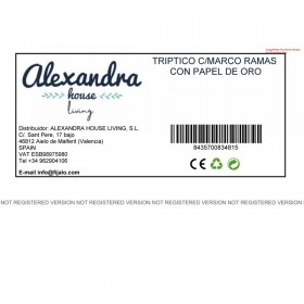 Set di 3 quadri Romimex polistirene Tela Uccelli 123 x 123 x 5 cm