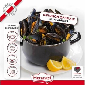 Pentola con Coperchio Menastyl Nero Acciaio smaltato e con rifinitura in vetro 2 Pezzi