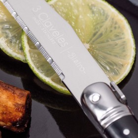 Set di Coltelli per Carne 3 Claveles Bistro 11,5 cm (4 Unità)
