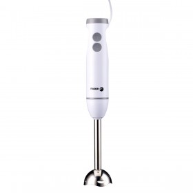 Frullatore ad Immersione Fagor Divamix Wish Acciaio 1000 W