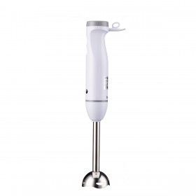Frullatore ad Immersione Fagor Divamix Wish Acciaio 1000 W
