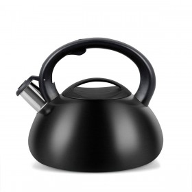 Bollitore Promis TMC01BS 3 L Nero Acciaio Alluminio
