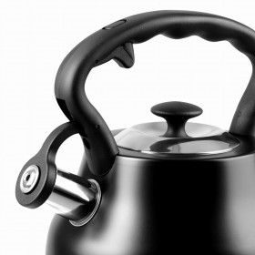 Bollitore Promis TMC21C Nero Acciaio inossidabile 3 L