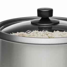 cuociriso Princess 271950 Arrocera Argentato Acciaio inossidabile 700 W