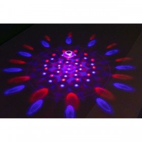 Luce Galleggiante a Energia Solare per Piscina Bestway Ø 14 cm (1 Unità)