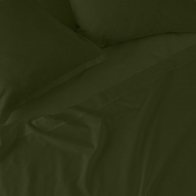 Lenzuolo con angoli aderenti HappyFriday BASIC Verde scuro 160 x 200 x 32 cm