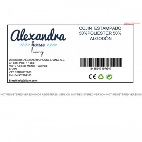 Cuscino Romimex Stampa 45 x 45 x 13 cm