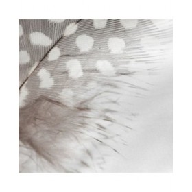 Federa HappyFriday Light Multicolore 45 x 110 cm