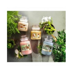 Candela Profumata Yankee Candle 10.00114.0846