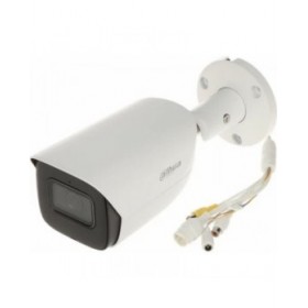 Videocamera di Sorveglianza Dahua HFW5442EP-ASE-0280B-S3