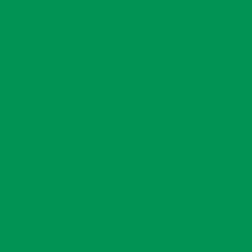 Vinile Permanente per Plotter da taglio Cricut Smrtvnl Verde