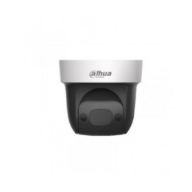 Videocamera di Sorveglianza Dahua DH-SD29204UE-GN