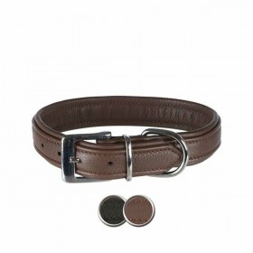 Collare per Cani Trixie Active Comfort Nero 31-37 cm