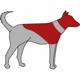 Collare protettivo per cane Trixie Azzurro Gonfiabile (45-57 cm)