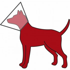Collare elisabettiano per cani Trixie (50-58 cm)