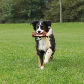 Giocattoli per cani Trixie Marrone Tela Ø 8 × 20 CM