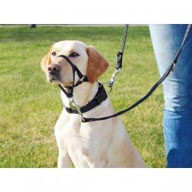 Imbracatura per Cani Trixie Nero 22 cm