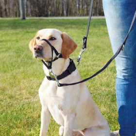 Imbracatura per Cani Trixie Nero 22 cm