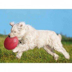 Frisbee Trixie Caucciù Ø 24 cm