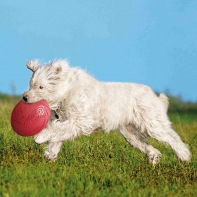 Frisbee Trixie Caucciù Ø 24 cm