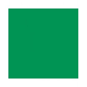 Vinile Permanente per Plotter da taglio Cricut Smrtvnl Verde